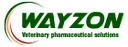 Wayzon Pharma